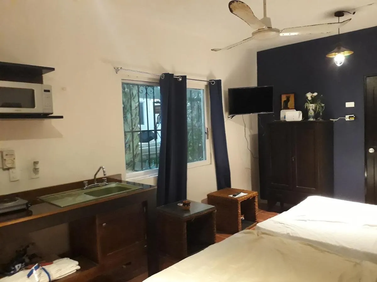 קוזומל Bea Rooms And Studios מלון